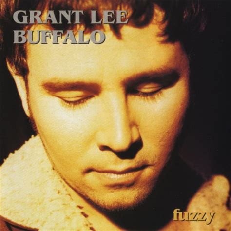 Grant Lee Buffalo - Fuzzy - Reviews - Album of The Year