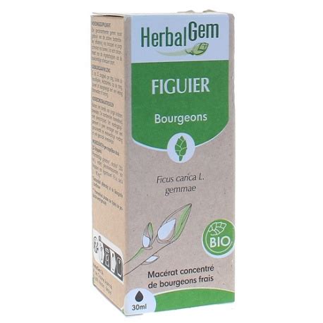 Figuier Bio Herbalgem Ml