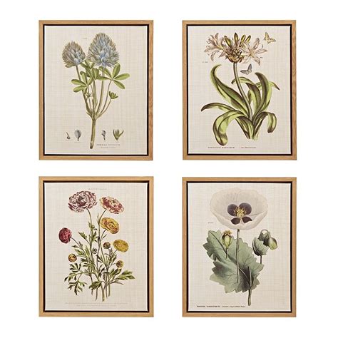 Botanical Wall Art Set Brewrc