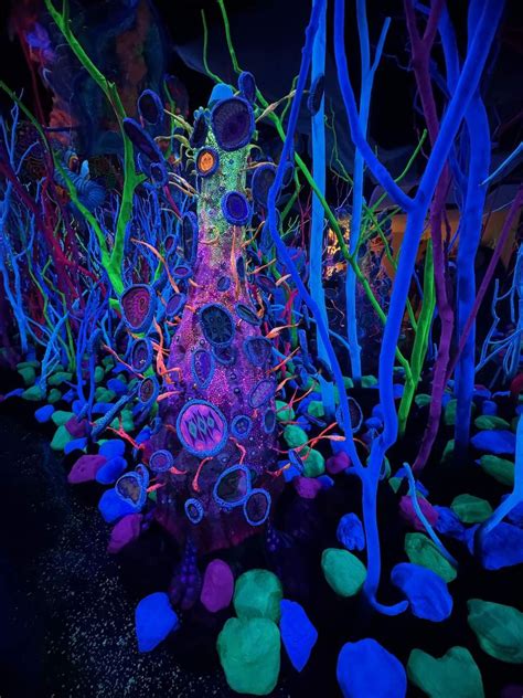 Previewing Houstons Meow Wolf Interactive Art Installation