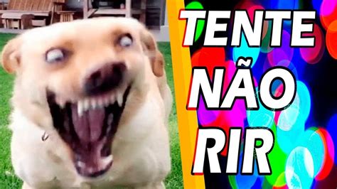 20 MINUTOS DOS MELHORES MEMES TV OFICIAL 1 TENTE NÃO RIR MEMES DE