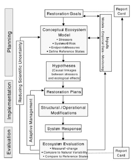 A 1 Schematic Representation Of The Ecosystem Management And