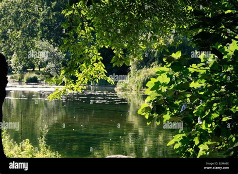 Shimmering Morning Light On The Lake In St James Park In London Stock