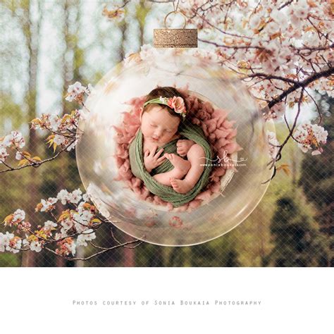 Outdoor Nature Globe Digital Backdrop Cherry Squijoo