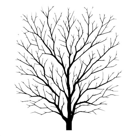 Premium Vector Minimal Naked Tree Vector Branches Silhouette Dead