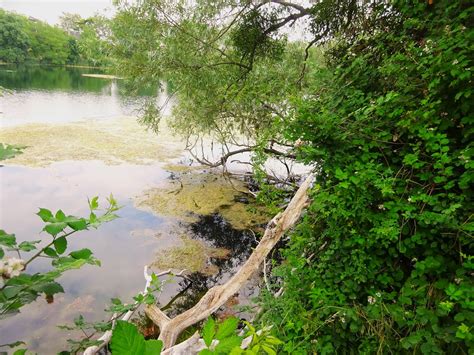 Aux Lacs De Viry Ch Tillon Au Bord D Un Des Lacs Flickr