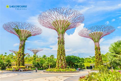 Saigontourist Du L Ch Singapore T T Nguy N N Gardens By The