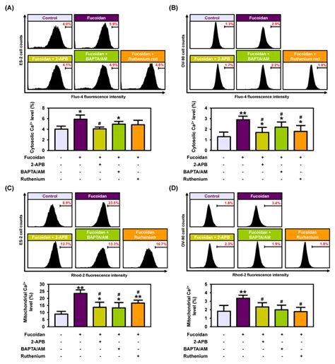 Effect Of Fucoidan With 2 APB BAPTA AM Or Ruthenium Red On Calcium