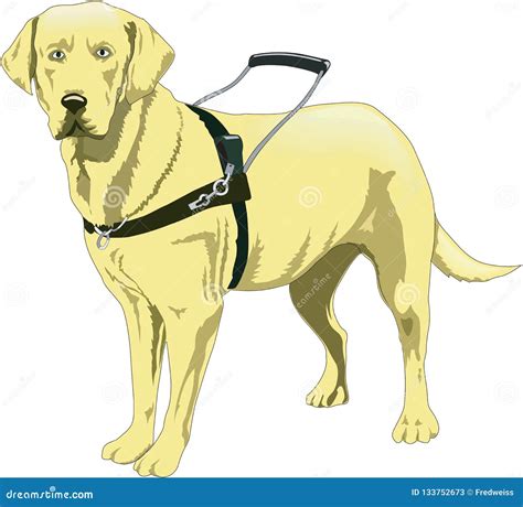 Seeing Eye Guide Dog Illustration Stock Vector - Illustration of pets