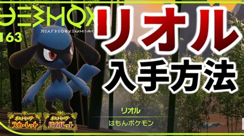 【ポケモンsv】リオルの入手方法解説【ポケットモンスター スカーレットバイオレットルカリオ】 ポケモン関連情報のまとめ動画