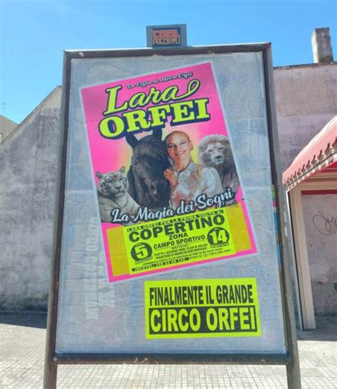 Circo Lara Orfei La Pubblicit Circusfans Italia