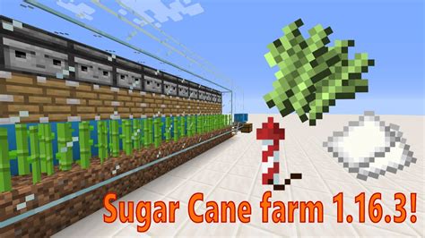 Aprender sobre 67+ imagem automatic farm sugar cane - br.thptnganamst ...