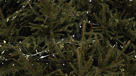 Christmas Tree Decorated with Twinkling Lights Shot Stock Footage ...