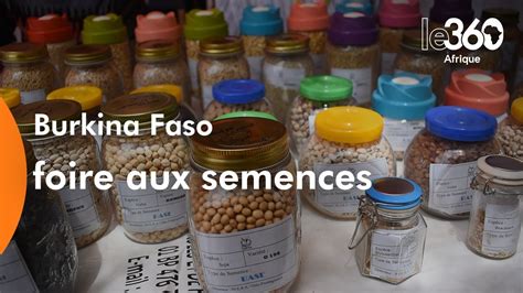 Burkina Faso lEtat encourage les semences améliorées les