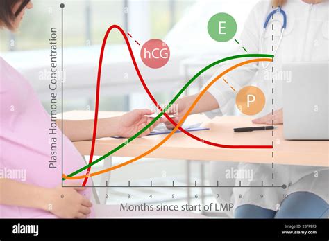 Concepto De Atenci N De Salud Gr Fico De Los Cambios En Los Niveles