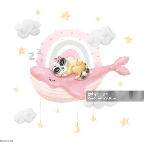 Watercolor Baby Sleeping Raccoon On Whale Cute Sleeping Animal Baby ...