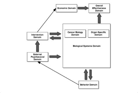 Integrative Oncology Systems Model Top Level View Basic Structure