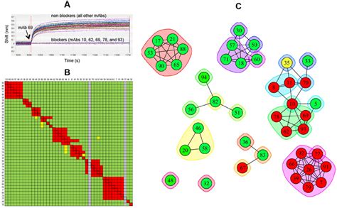 Bli Analysis Of Anti Isdb Mabs Using An In Tandem Epitope Binning