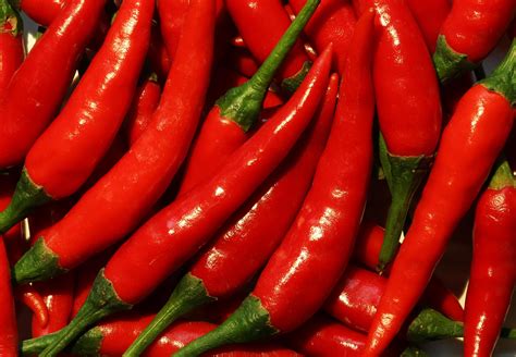 Red Hot Cayenne Peppers Stock Photo At Vecteezy