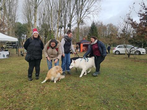 EN IMAGES Cette commune de la Sarthe organise un marché de Noël pour