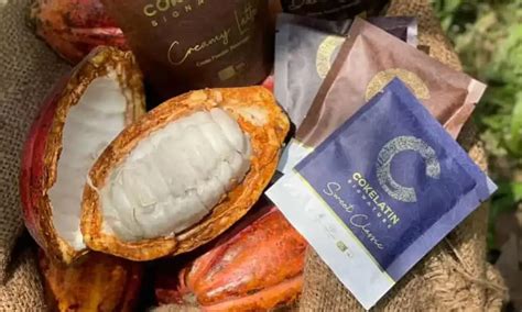 Berikut Rekomendasi Minuman Cokelat Yang Enak Sehat Cokelatin Signature