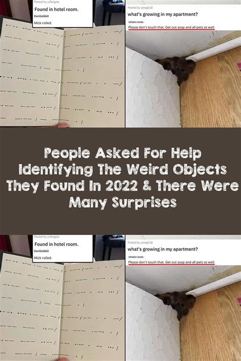 People Asked For Help Identifying The Weird Objects They Found In 2022