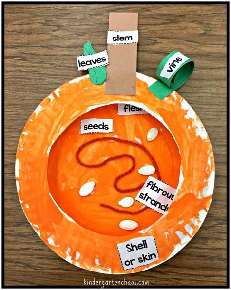 Pumpkin Activities For The Kindergarten Classroom Artofit