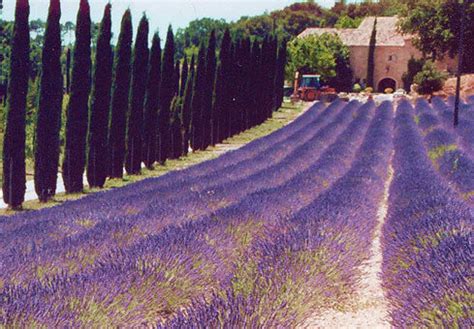 classic drome easy walking  sightseeing guided holiday