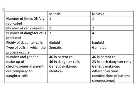 Genetic Makeup Of Daughter Cells In Meiosis - Makeup Vidalondon