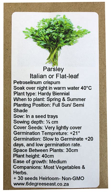 Buy 6 Degrees East Heirloom Herb Seeds Parsley Italian Plain Flat