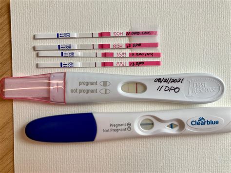 Vvvfl At Dpo On A Clinicalguard Cheapie That Was A Clear Bfp On