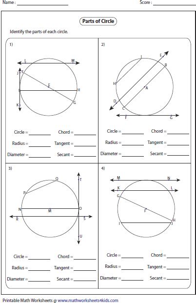 Parts Of A Circle Worksheet