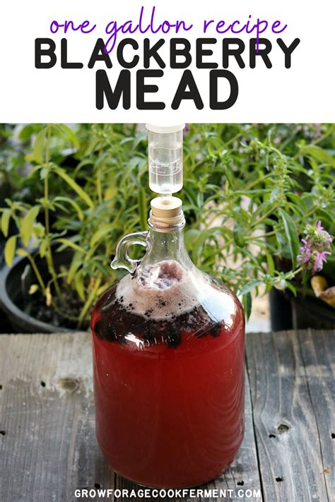 Blackberry Mead Recipe 1 Gallon Find Vegetarian Recipes