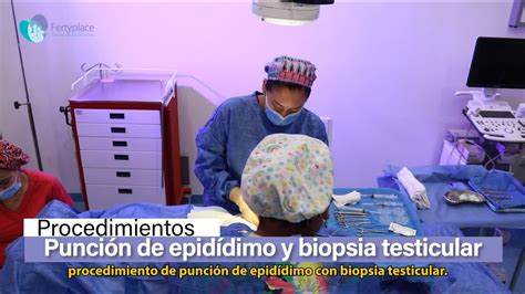 Punci N De Epid Dimo Y Biopsia Testicular Fertyplace Youtube