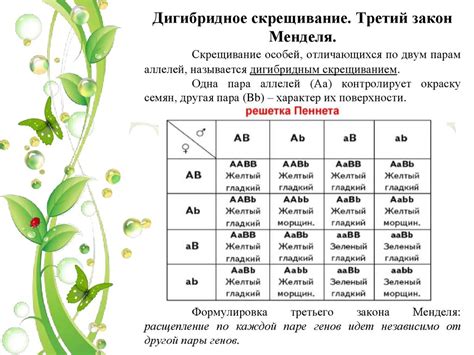 Основы генетики и селекции - презентация онлайн