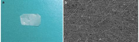 A Gross Appearance Of Bacterial Cellulose B Electron Microscopic View