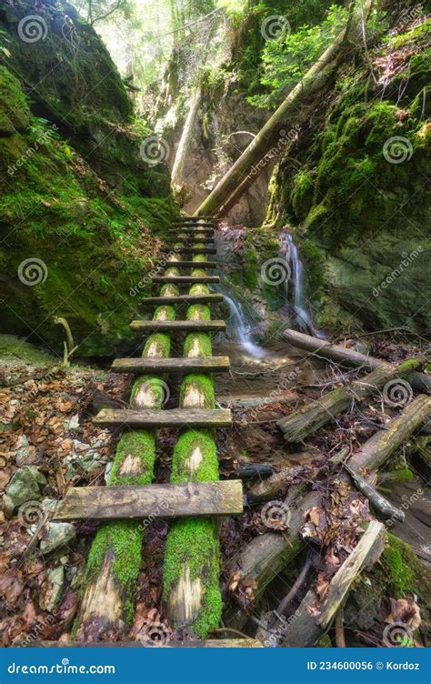 Wooden Ladders Path In Velky Sokol Gorge In The Slovak Paradise During