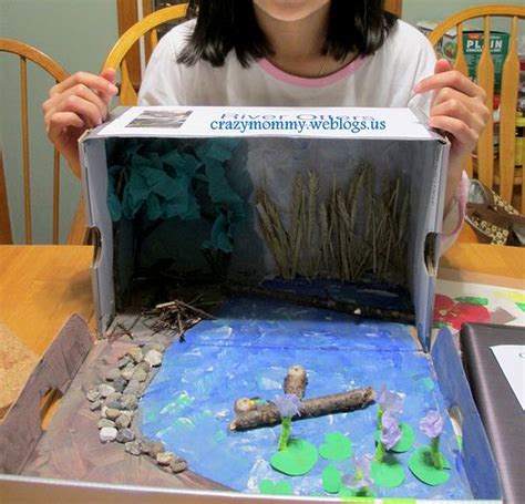 Sea Otter Habitat Project