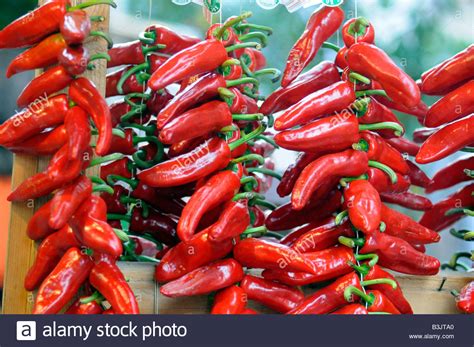 Chili Peppers Sale In Saint Jean Hi Res Stock Photography And Images