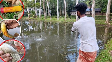 জীবনে প্রথম মাছের লিঙ্গ দেখলাম অবিশ্বাস্য গোপন টোপ তৈরির নিয়ম Sex