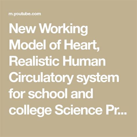 New Working Model Of Heart Realistic Human Circulatory System For