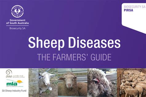 Sheep Diseases The Farmers’ Guide Dickson Ag