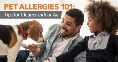 Pet Allergies Tips For Cleaner Indoor Air Sylvane