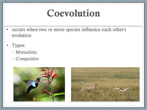 Patterns of Evolution & Speciation – Part 1 - ppt download