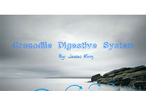 Digestive System of a Crocodile by Keegan Mann on Prezi