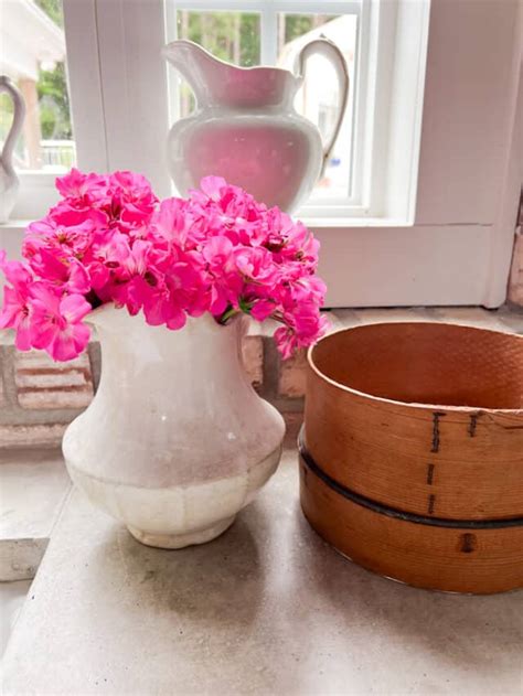 Best Tips To Keep Geraniums Blooming Spring To Fall