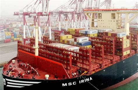 Top 20 Biggest And Largest Container Ships In The World In 2024