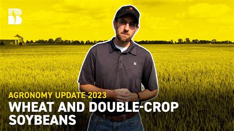 Wheat And Double Crop Soybeans Becks Agronomy Update Youtube