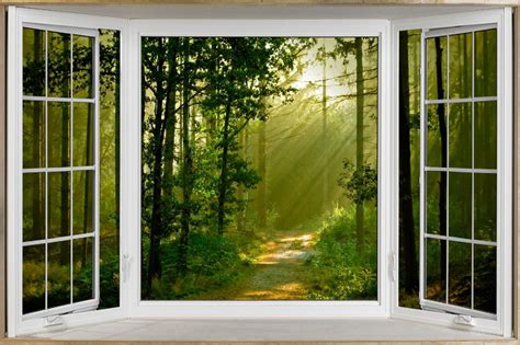 Forest Greenery From A Fake White Bay Window Illusion Poster Bay