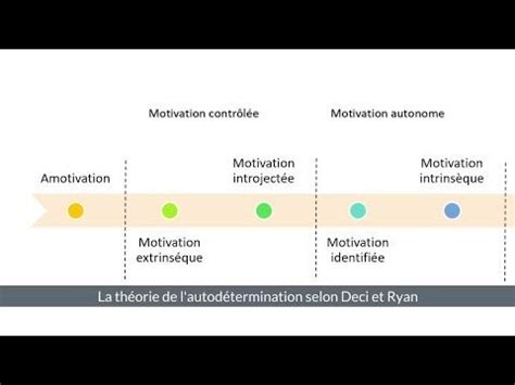 La théorie de l autodétermination dans le monde du travail